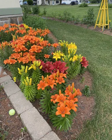 $495,000 | 214 Johnson Street, Cambridge, WI 53523