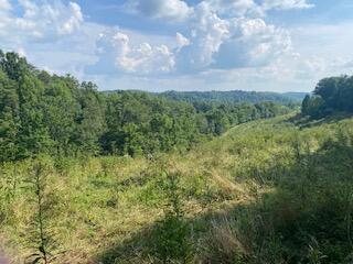 294 Hooster Run Road Wellington, KY 40387 - Photo 24 of 24 IMG_0759