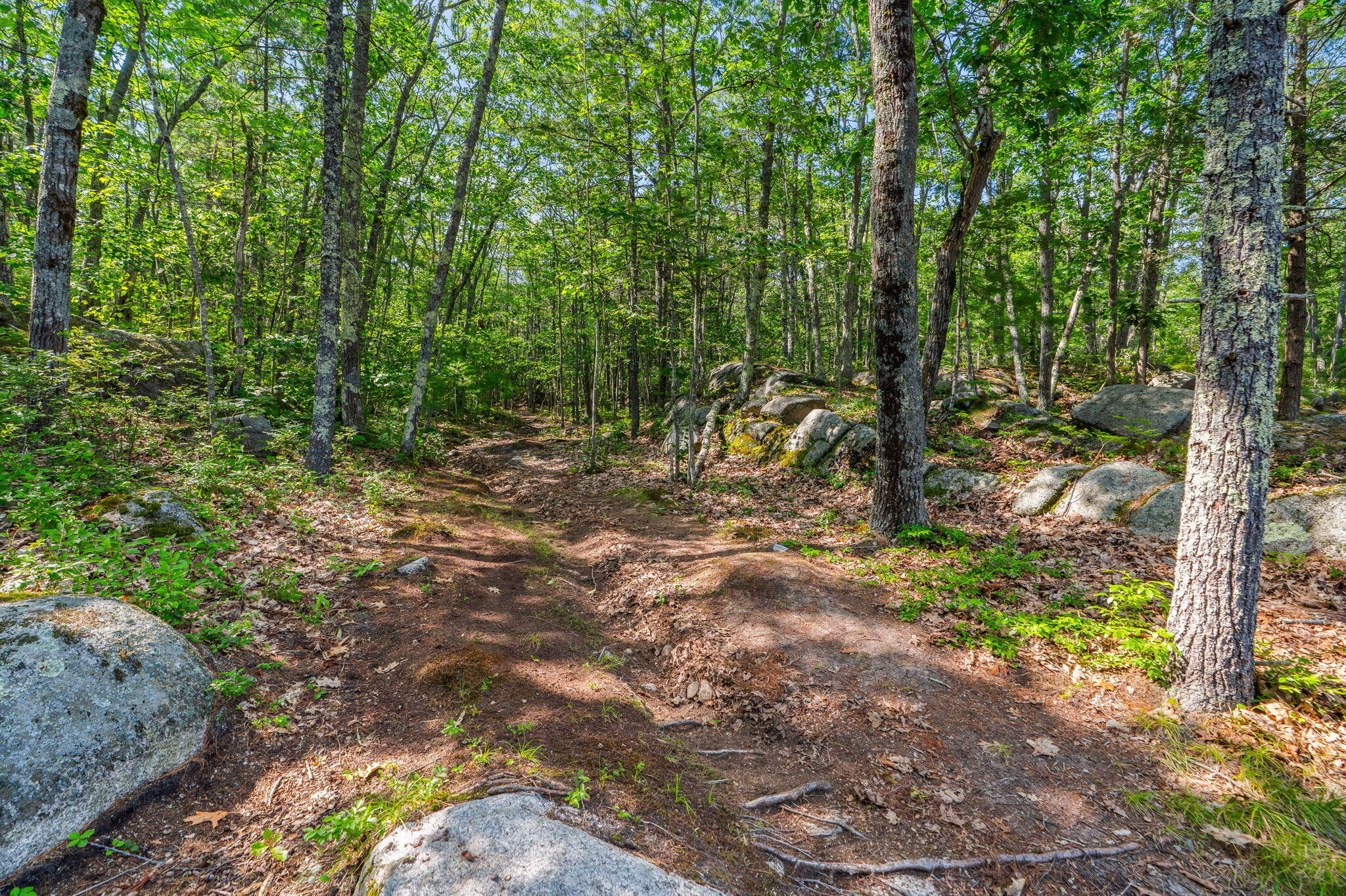 240 Guinea Road Biddeford, ME 04005 - Photo 32 of 33 8-web-or-mls-LLP_MWC03601