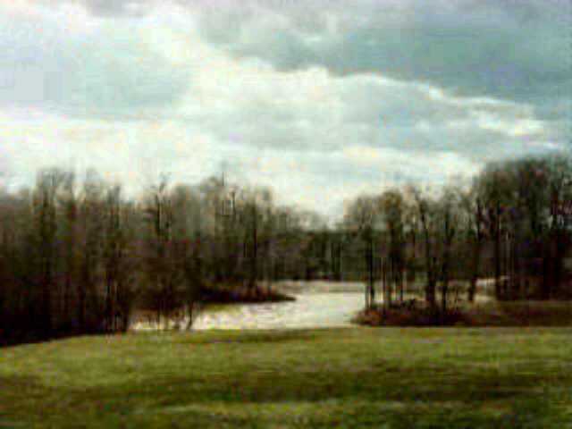 5 Hollow Road Southwest Pataskala, OH 43062 - Photo 1 of 1
