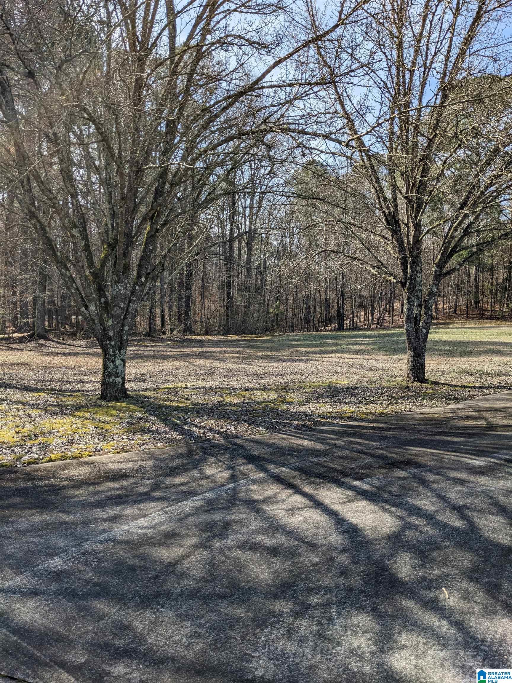 9916 Cato Road Warrior, AL 35180 - Photo 12 of 22
