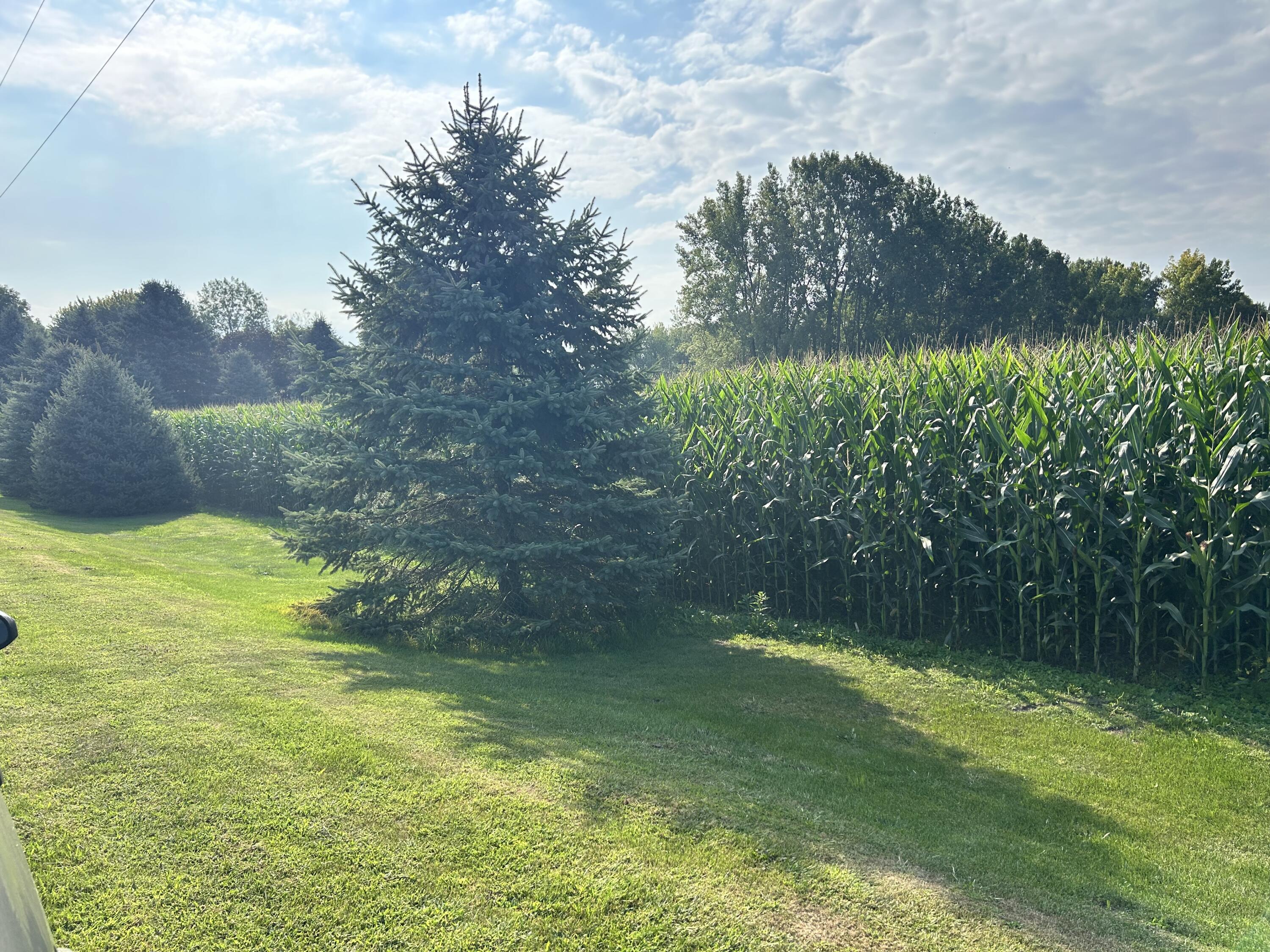 0 Tuttle Road Baroda, MI 49101 - Photo 1 of 6 IMG_3382 (1)