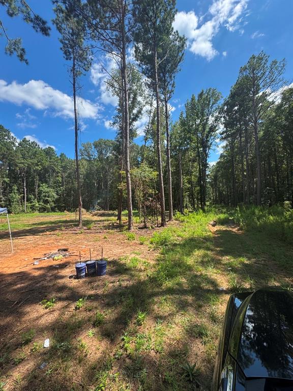 0 Oliver Road Haughton, LA 71037 - Photo 4 of 15 Gallery Image 4