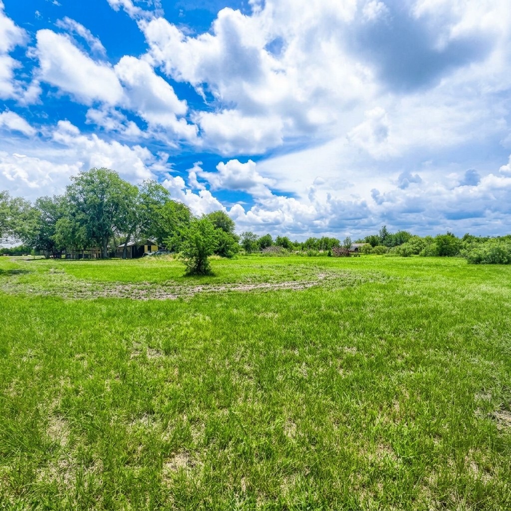 14520 Bois-D-Arc Road Manor, TX 78653 - Photo 13 of 21 a view of a green field with lots of green space