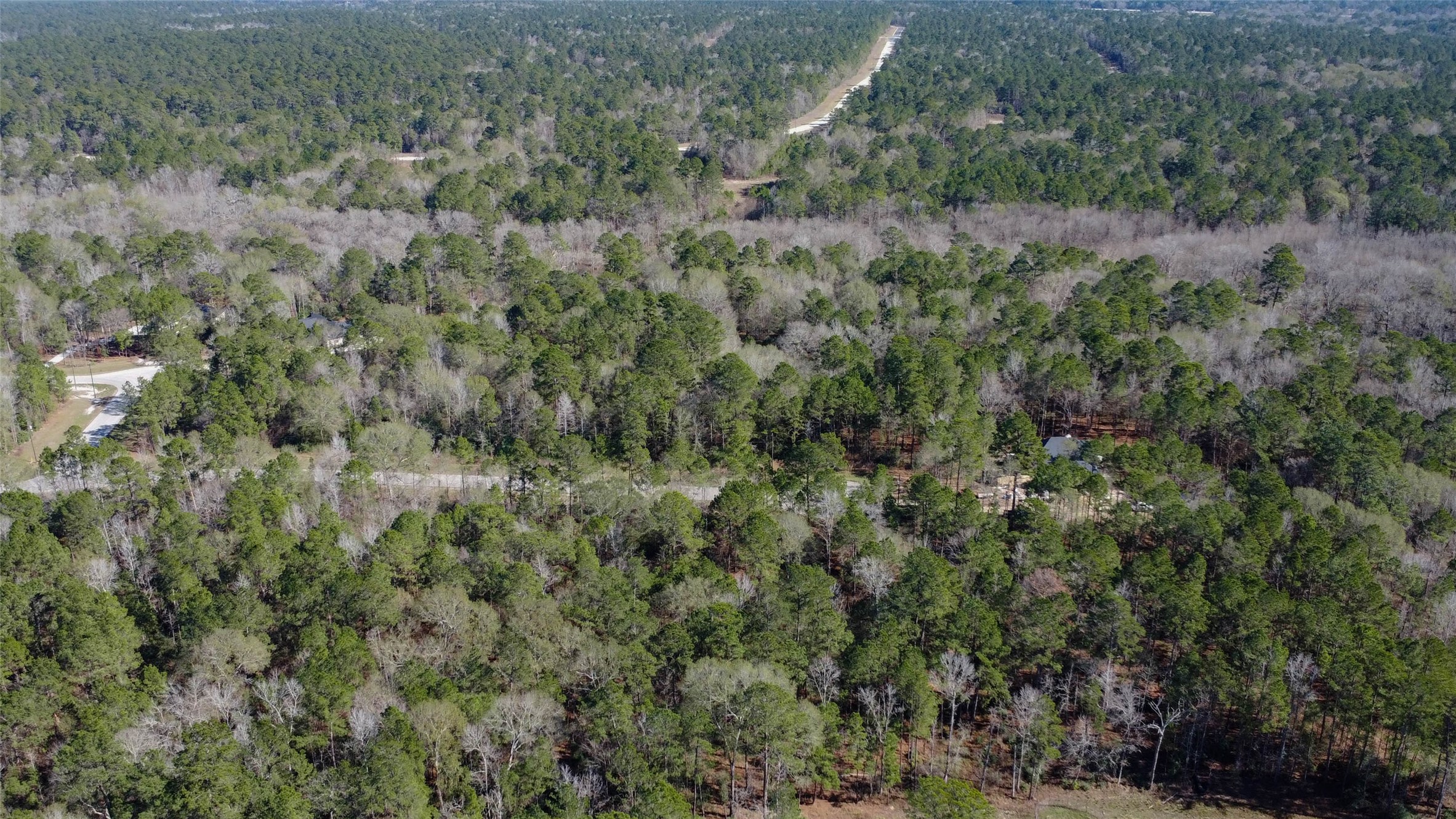 0 Bighorn Road Huntsville, TX 77340 - Photo 15 of 22 a view of a lush green field