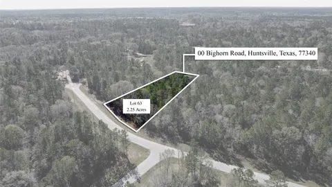 $110,000 | 0 Bighorn Road, Huntsville, TX 77340