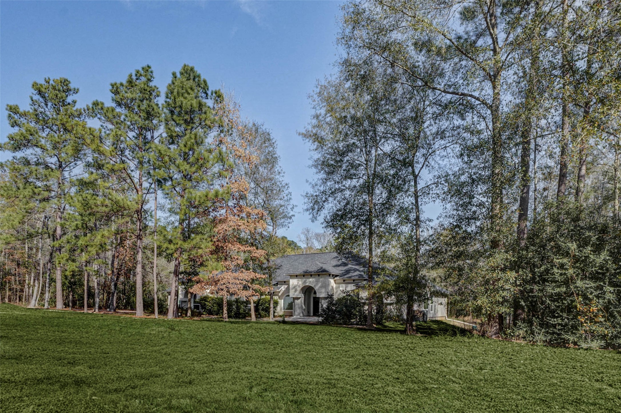 0 Bighorn Road Huntsville, TX 77340 - Photo 22 of 22 a garden view with trees