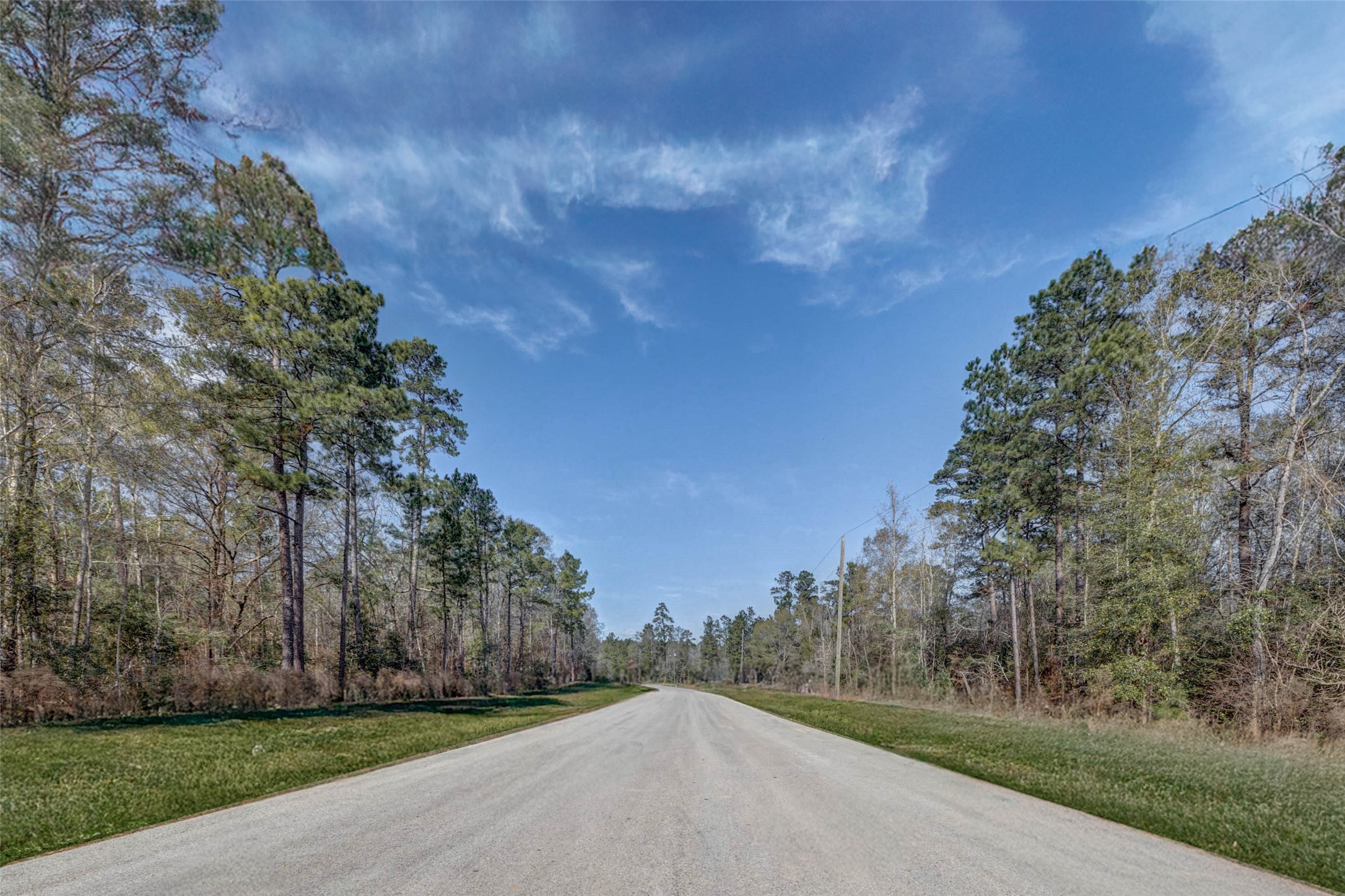 0 Bighorn Road Huntsville, TX 77340 - Photo 4 of 22 a view of a rural road with plants and trees