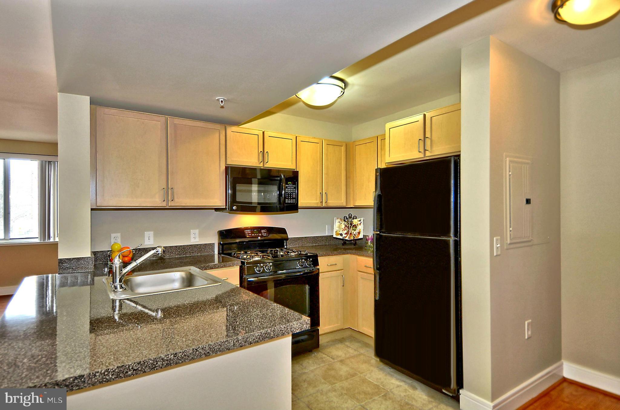 800 4th Street Southwest, Unit N201 Washington, DC 20024 - Photo 3 of 25 a kitchen with stainless steel appliances granite countertop a refrigerator a stove and a sink