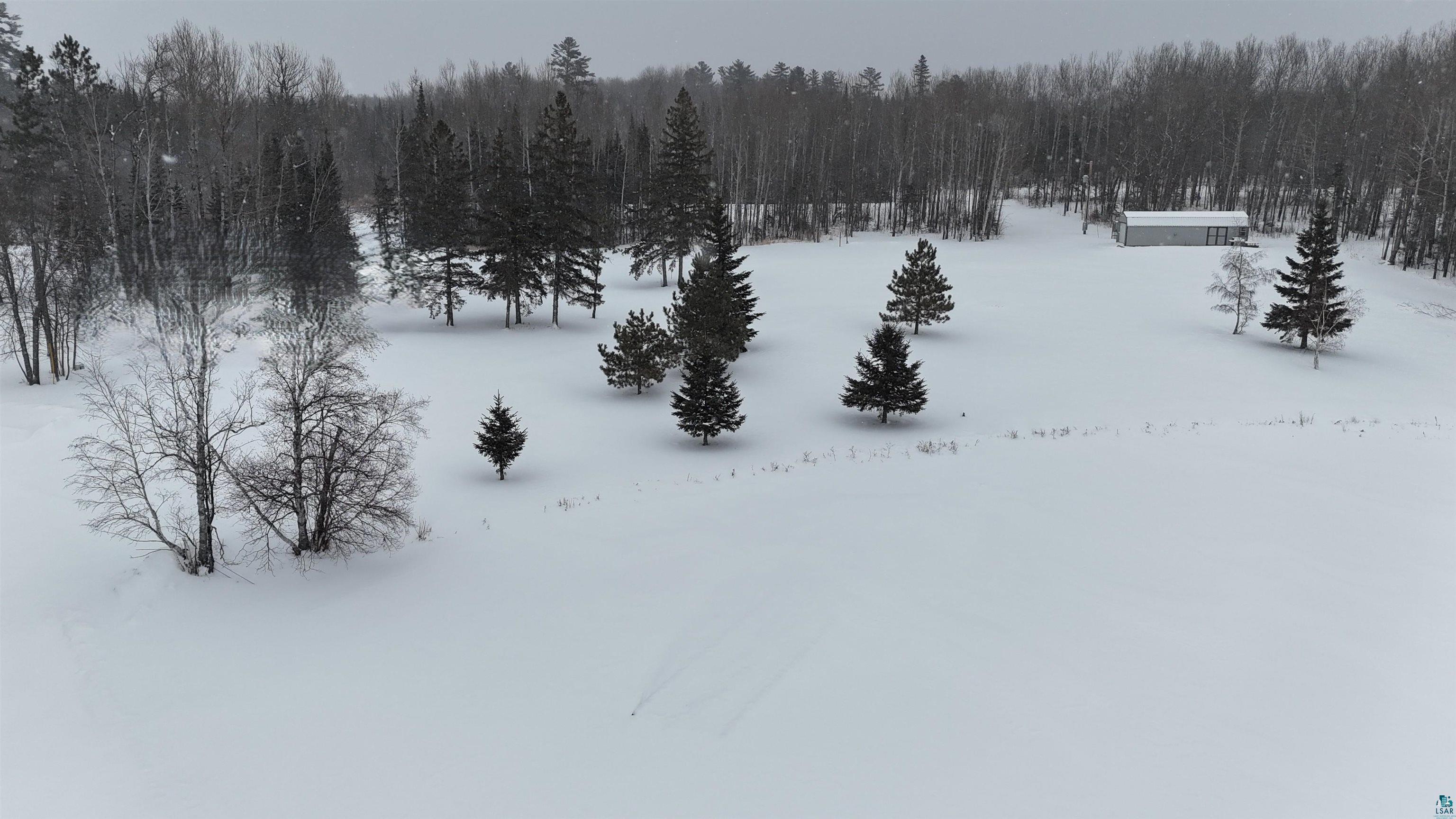 10992 Sweigert Road Orr, MN 55771 - Photo 13 of 17 Snowy yard with a view of trees