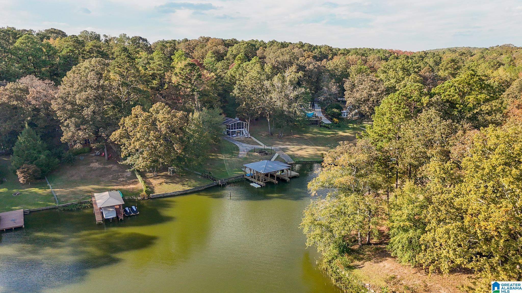 438 Traweek Lane Pell City, AL 35128 - Photo 36 of 49