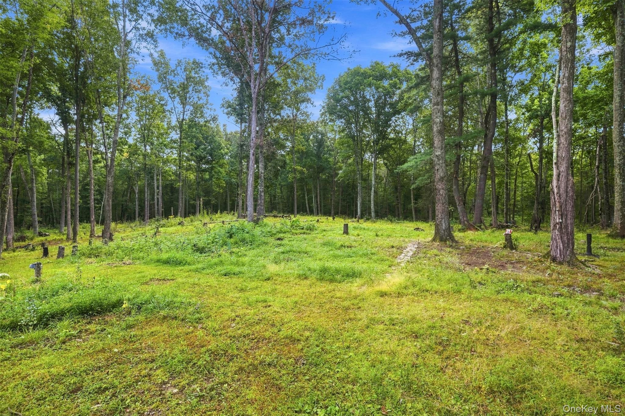 39 Jacob Rumph Court Montgomery, NY 12549 - Photo 27 of 27 Gallery Image 27