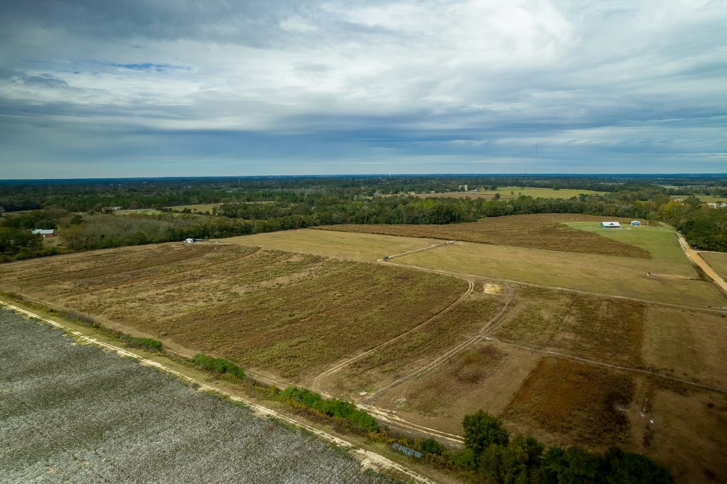 0 J B J B Jackson Road Webb, AL 36376 - Photo 33 of 38