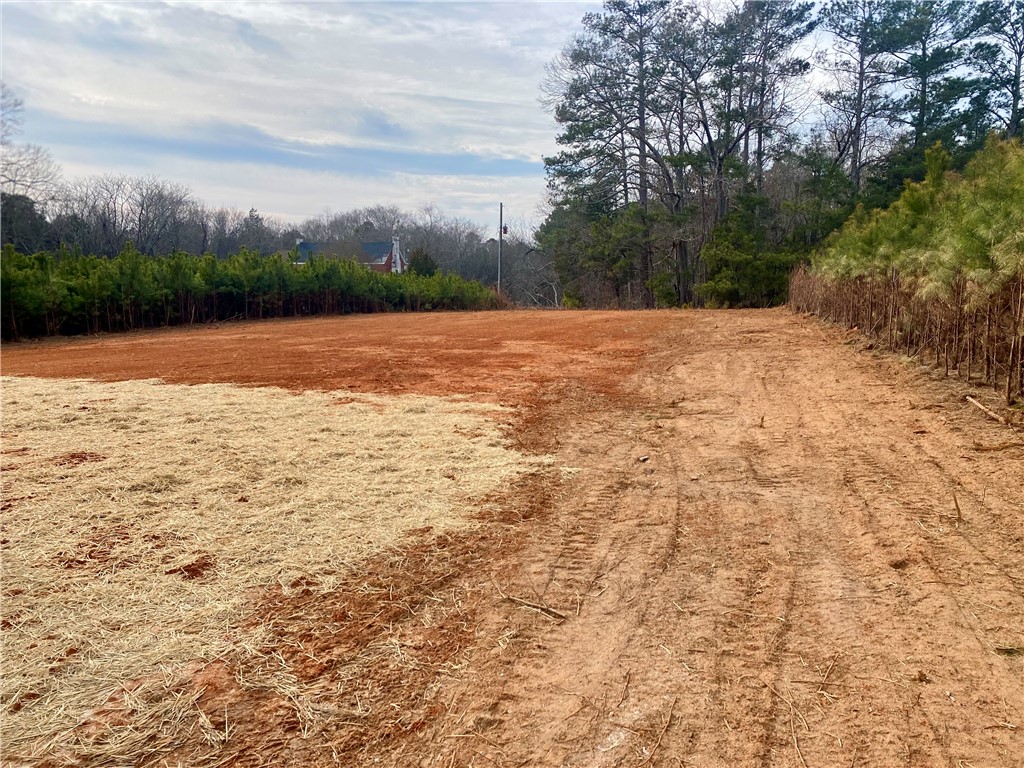 384 Skippers Lodge Road Cross Hill, SC 29332 - Photo 24 of 47 Expansive parcel offering ample space for your vision, bordered by natural growth.