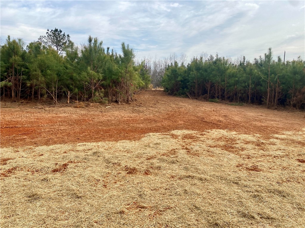384 Skippers Lodge Road Cross Hill, SC 29332 - Photo 3 of 47 Expansive cleared lot with mature trees offers a canvas for your vision.