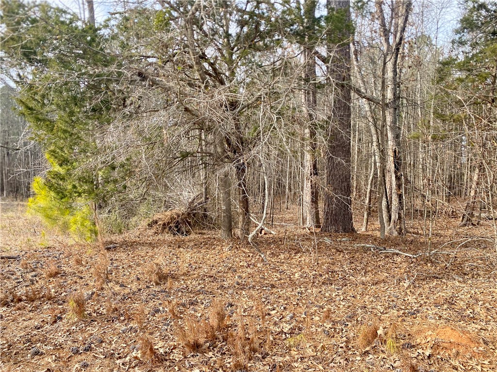 384 Skippers Lodge Road Cross Hill, SC 29332 - Photo 32 of 47 This serene woodland provides a natural escape, offering privacy and endless possibilities.