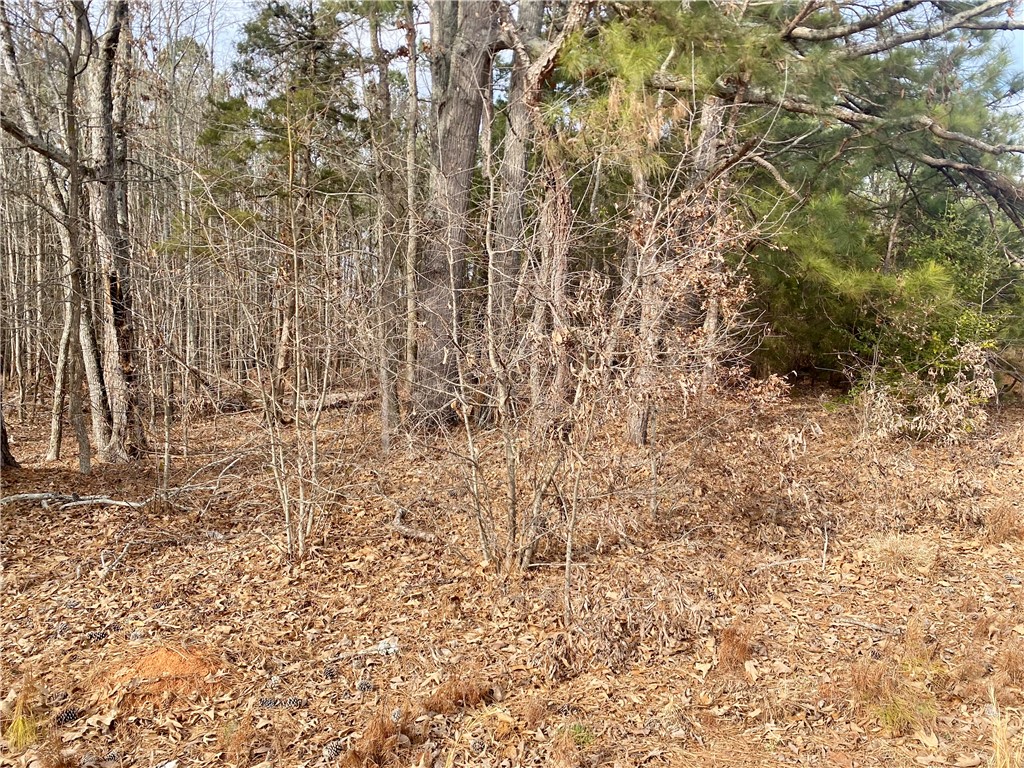 384 Skippers Lodge Road Cross Hill, SC 29332 - Photo 33 of 47 This expansive wooded lot provides a serene natural setting for your future home.
