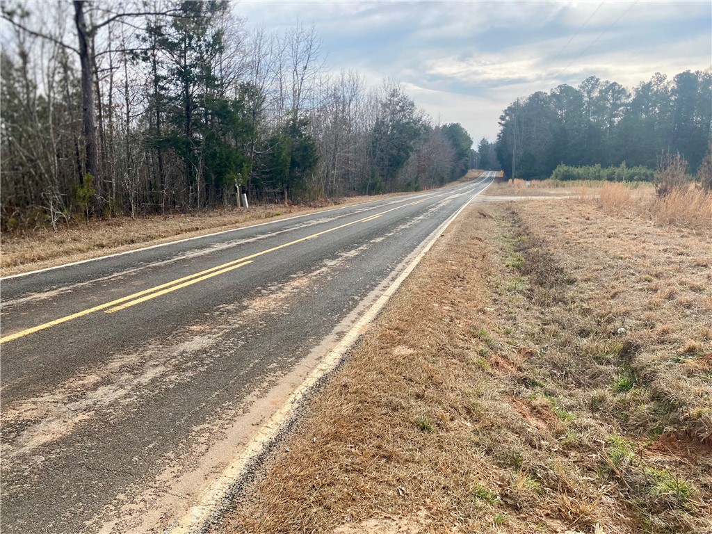 384 Skippers Lodge Road Cross Hill, SC 29332 - Photo 36 of 47 This expansive lot offers ample space with road frontage, ideal for diverse development opportunities.