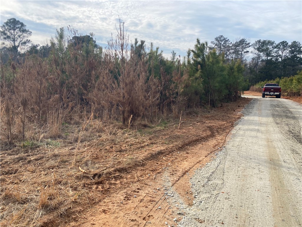 384 Skippers Lodge Road Cross Hill, SC 29332 - Photo 38 of 47 This expansive lot features a gravel road and abundant natural foliage, perfect for a private retreat.