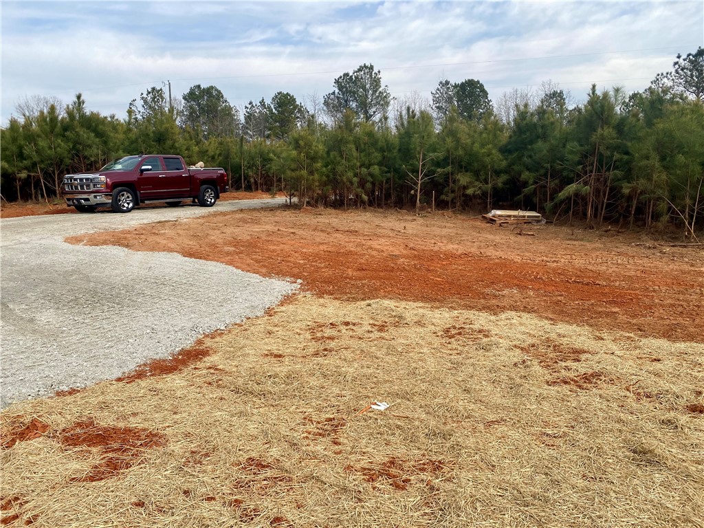 384 Skippers Lodge Road Cross Hill, SC 29332 - Photo 4 of 47 This expansive lot features a gravel driveway, offering ample space for future development.