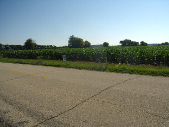 a view of a road with a yard