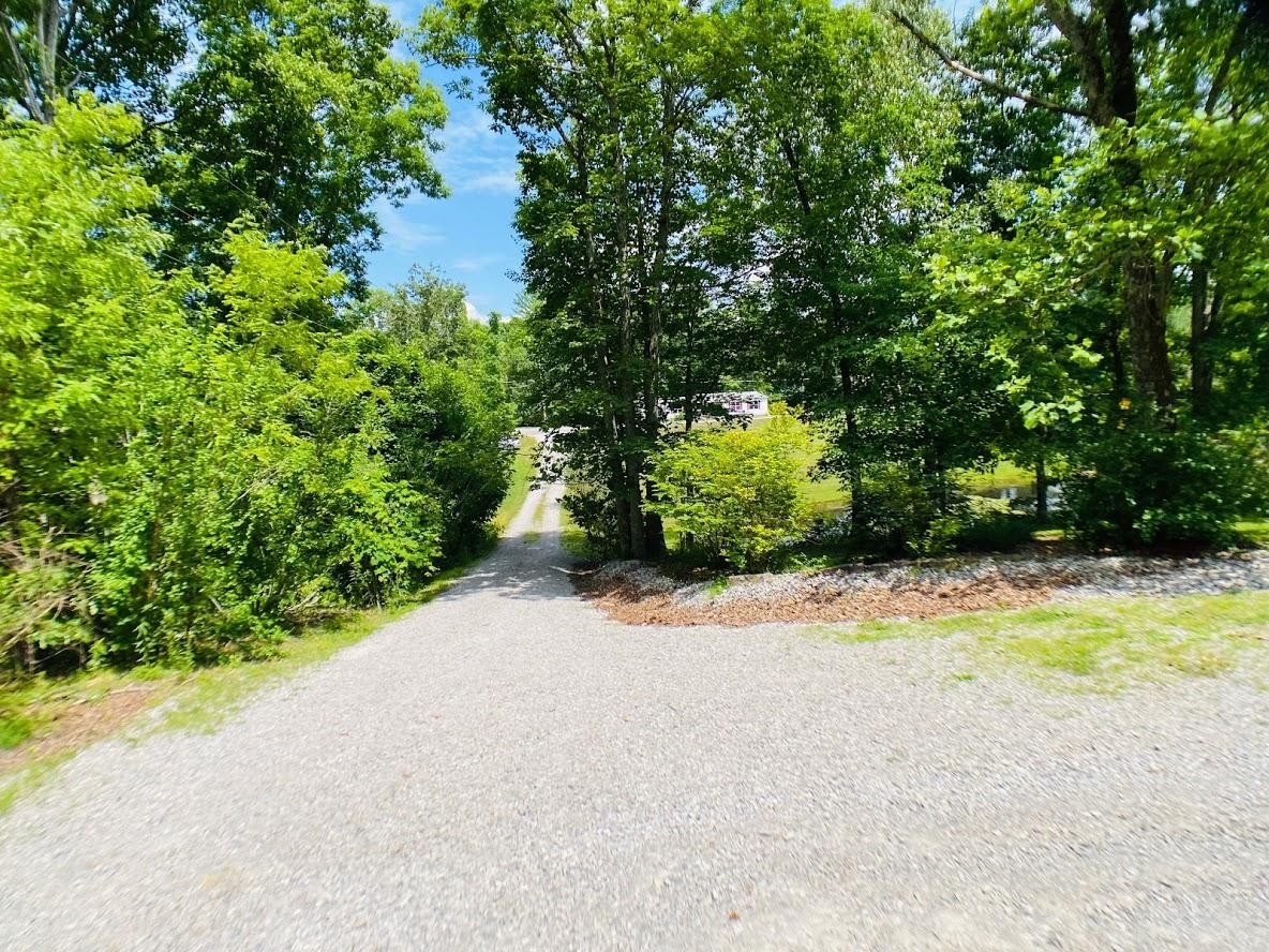 1034 Star Point Road Jamestown, TN 38556 - Photo 12 of 35 a view of a yard with plants and large trees