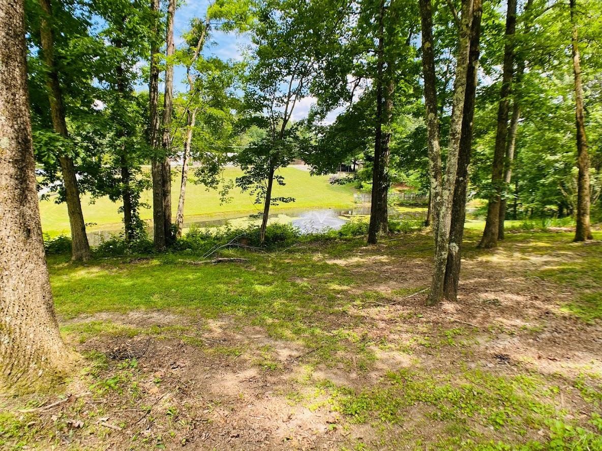 1034 Star Point Road Jamestown, TN 38556 - Photo 2 of 35 a view of yard with trees