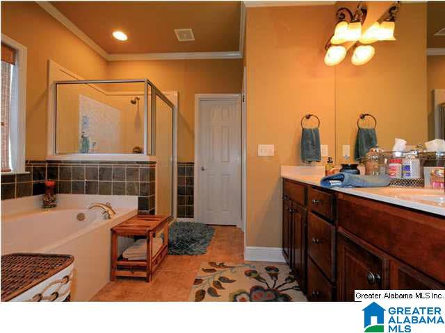 193 River Birch Road Chelsea, AL 35043 - Photo 15 of 21