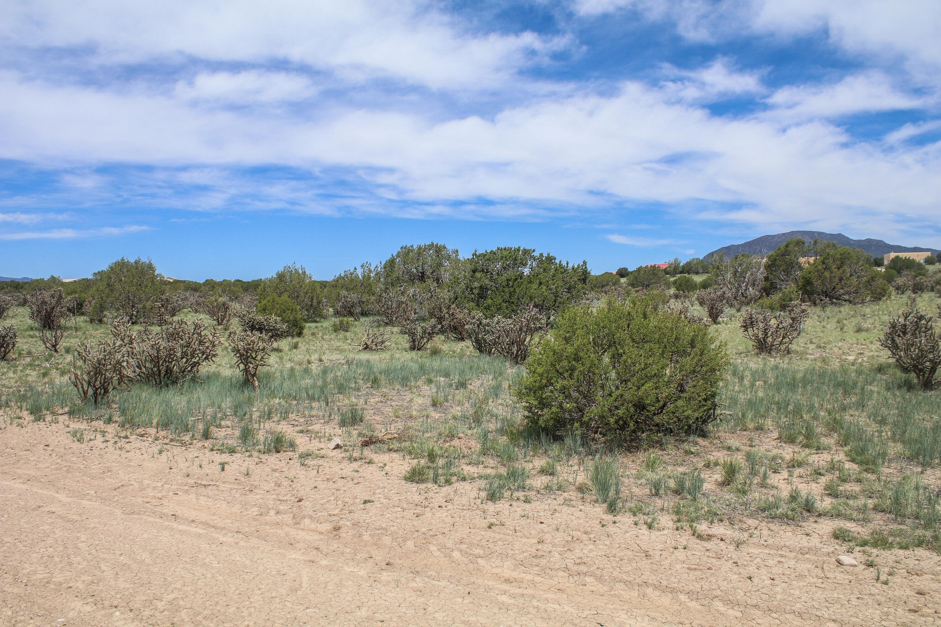 16 Neighborly Way Edgewood, NM 87015 - Photo 2 of 6 Gallery Image 2