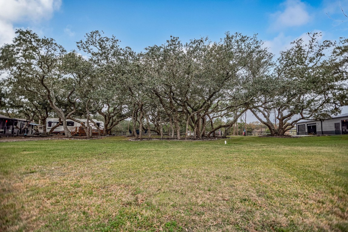 1236 Riverside Drive Palacios, TX 77465 - Photo 35 of 35 a view of a field with trees