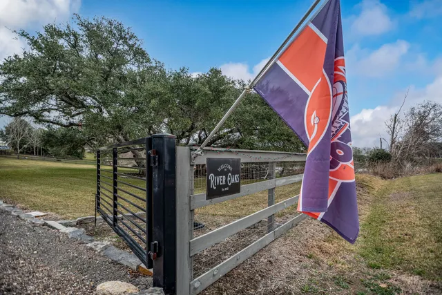 a view of a house with backyard and porch