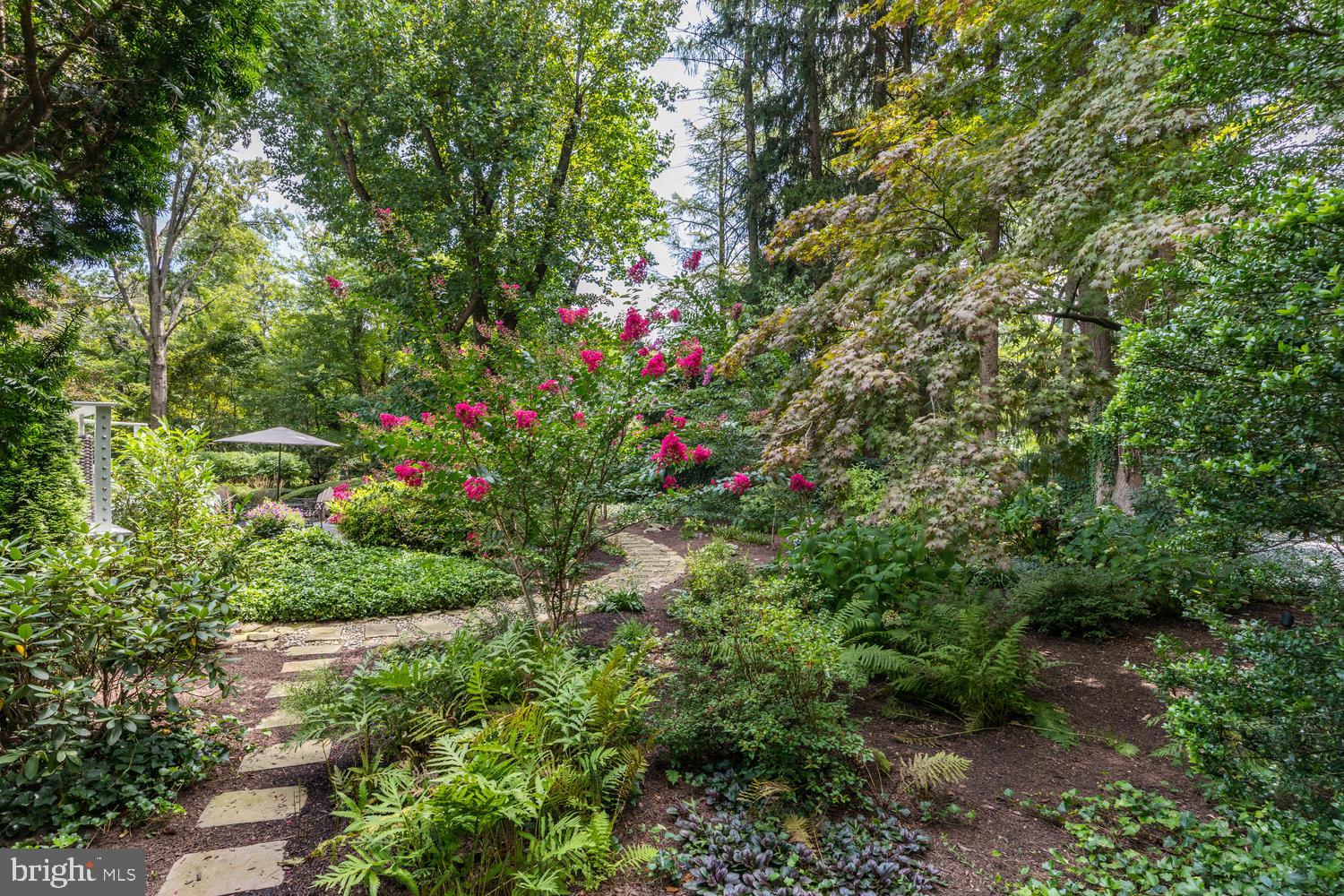 267 Riverside Drive Princeton, NJ 08540 - Photo 41 of 42 Rear Yard