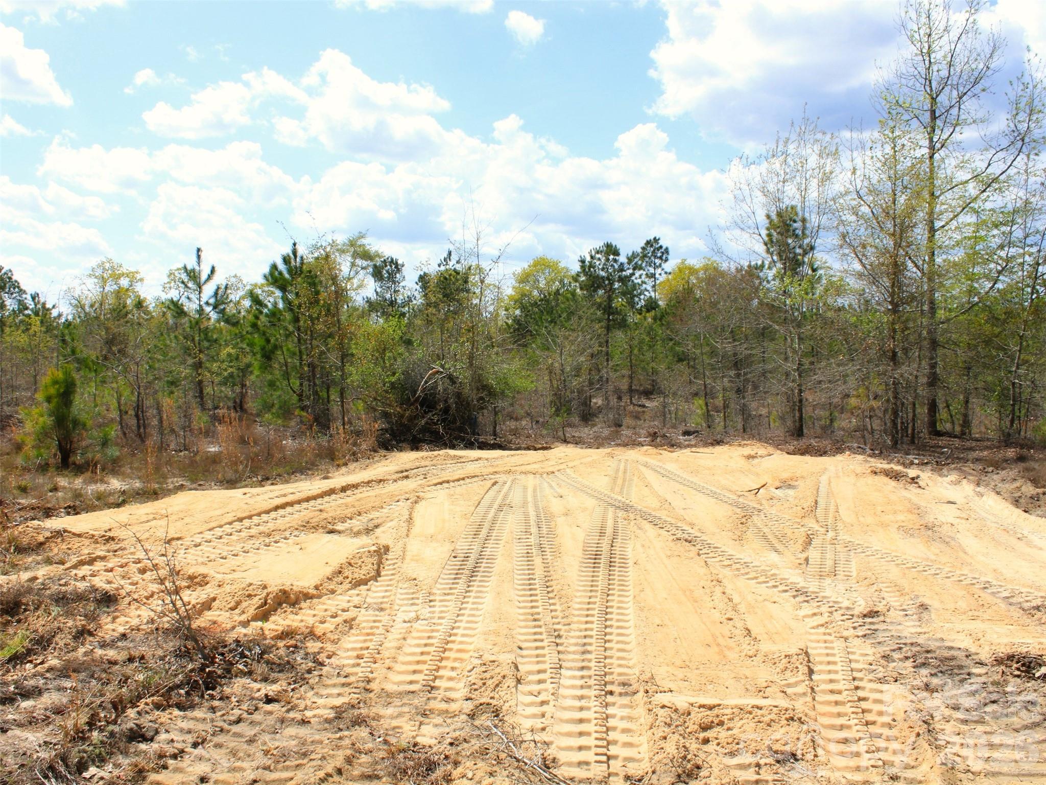 0 McQueen Road Patrick, SC 29584 - Photo 24 of 25