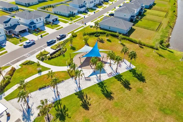 a view of a park with large trees