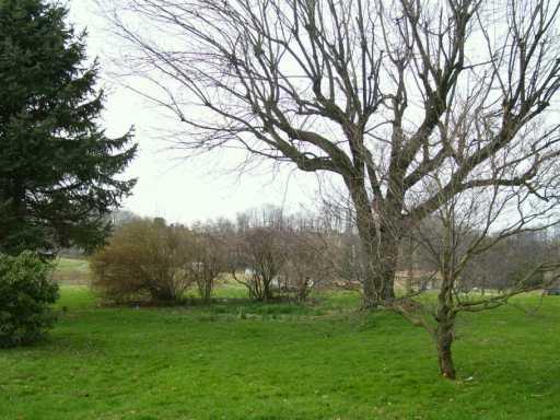 1738 Highway 981 Ruffs Dale, PA 15679 - Photo 3 of 4 Yard/Garden.