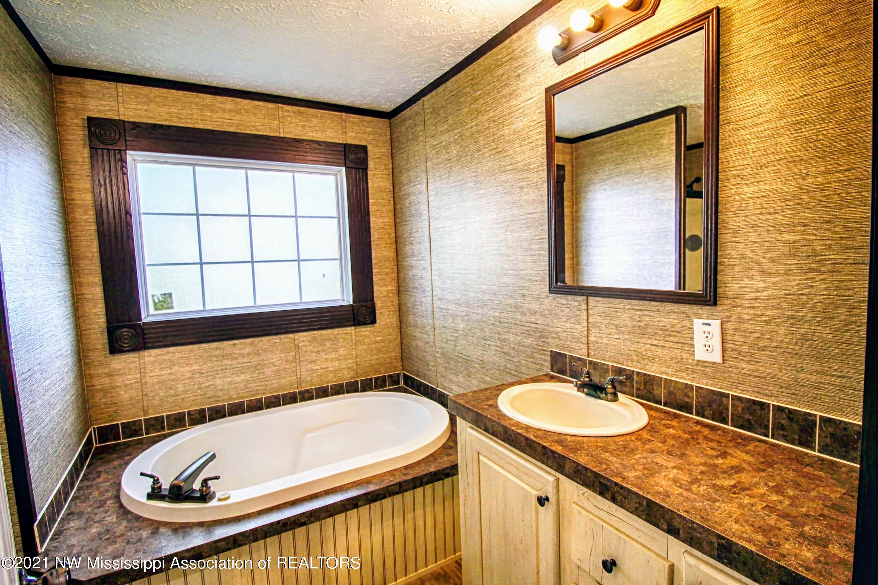 7090 Dubbs Road Dundee, MS 38626 - Photo 14 of 17 Master Bathroom