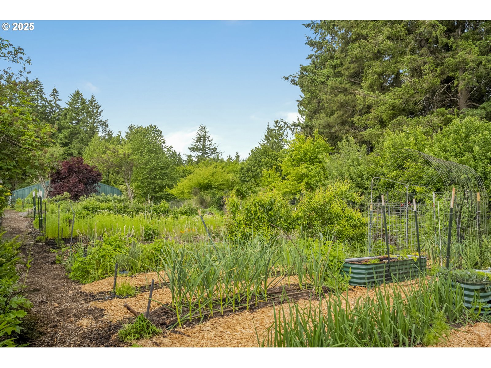 10623 Northeast Fox Farm Road Dundee, OR 97115 - Photo 36 of 47
