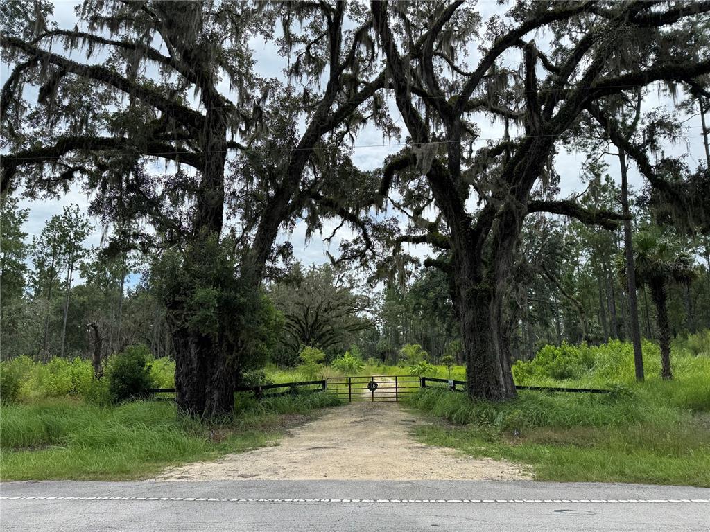 a view of a yard with a tree