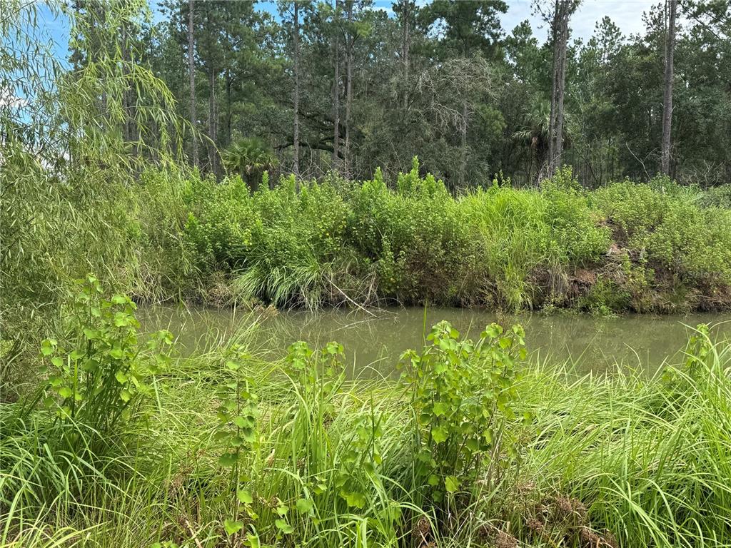 9600 Northeast 90th Street Road Fort McCoy, FL 32134 - Photo 19 of 32 a view of lake with green space