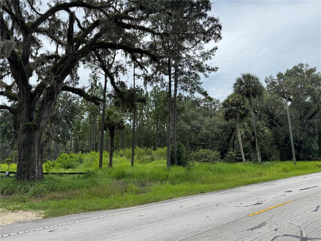 9600 Northeast 90th Street Road Fort McCoy, FL 32134 - Photo 2 of 32 a view of a park