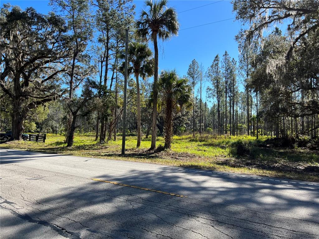 9600 Northeast 90th Street Road Fort McCoy, FL 32134 - Photo 21 of 32 a view of a park with swings and slides