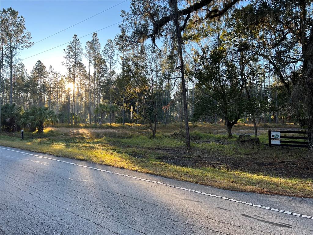 9600 Northeast 90th Street Road Fort McCoy, FL 32134 - Photo 25 of 32 a view of a yard with swimming pool