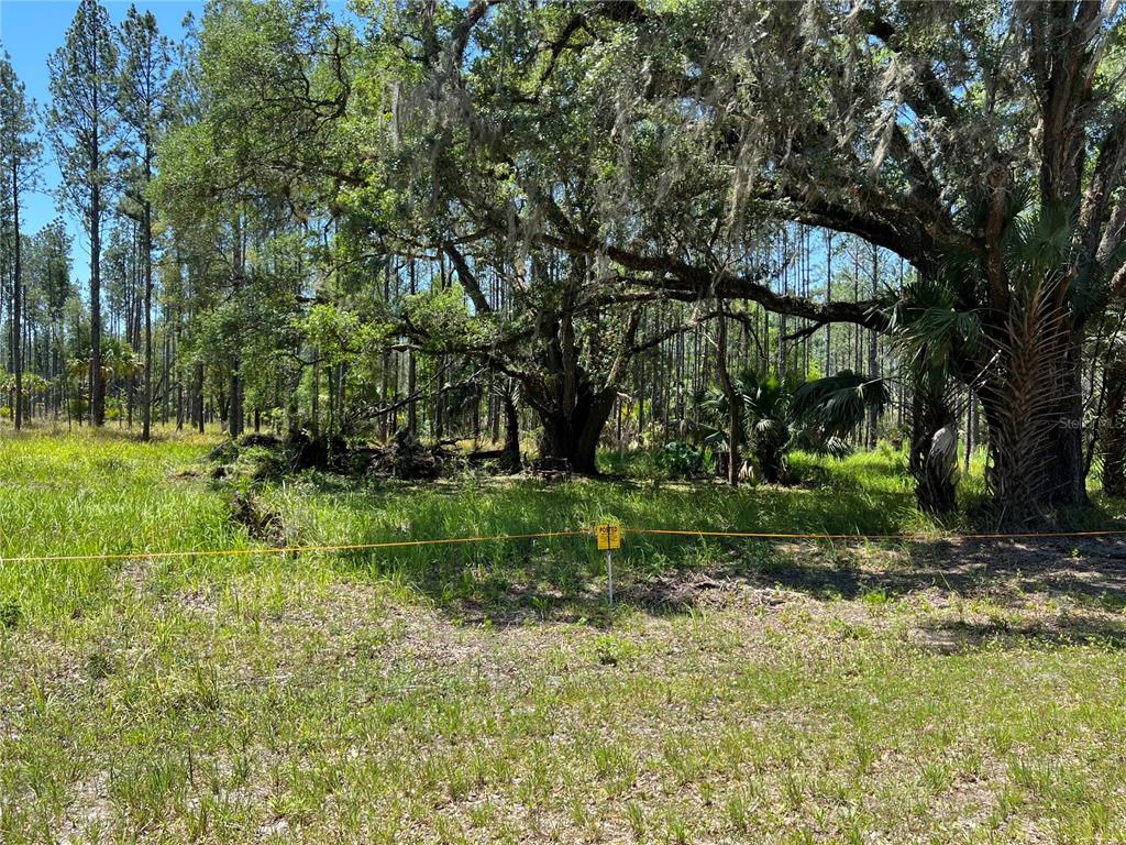 9600 Northeast 90th Street Road Fort McCoy, FL 32134 - Photo 28 of 32 a view of a park