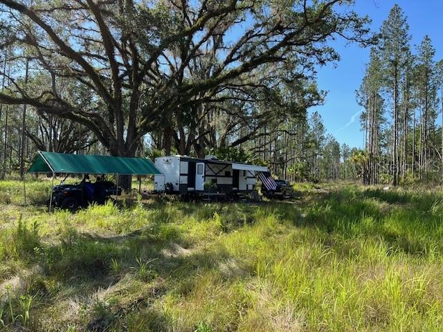 9600 Northeast 90th Street Road Fort McCoy, FL 32134 - Photo 30 of 32 a backyard of a house with yard and green space