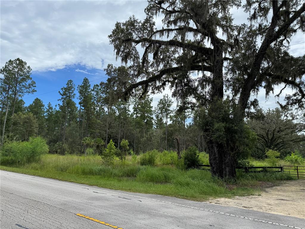9600 Northeast 90th Street Road Fort McCoy, FL 32134 - Photo 3 of 32 an outdoor space with lots of trees