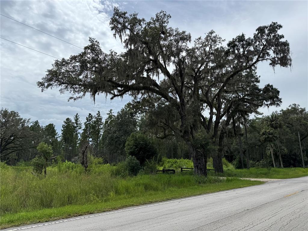 9600 Northeast 90th Street Road Fort McCoy, FL 32134 - Photo 4 of 32 a view of a park