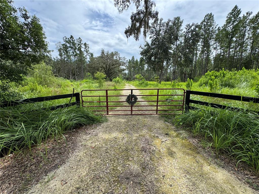 9600 Northeast 90th Street Road Fort McCoy, FL 32134 - Photo 8 of 32 a view of park with trees