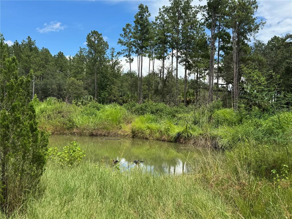 9600 Northeast 90th Street Road Fort McCoy, FL 32134 - Photo 10 of 32 a view of lake with green space