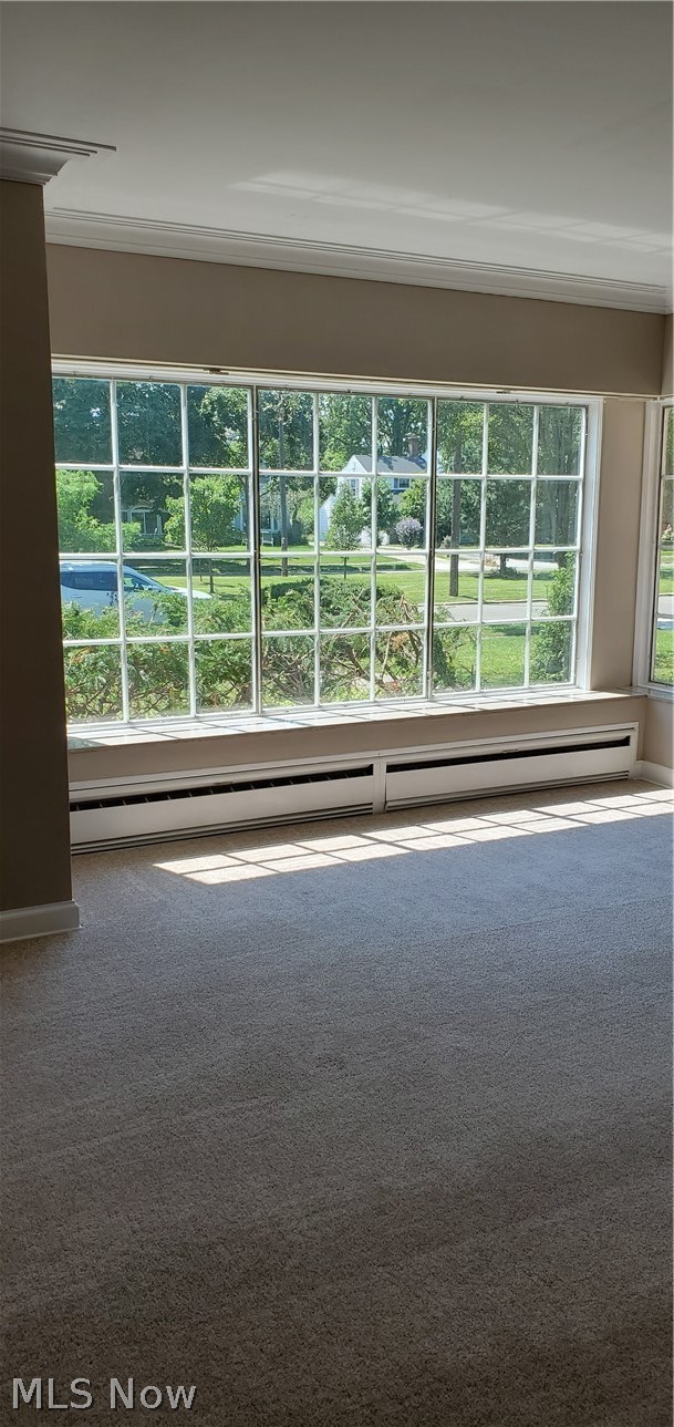 3324 Aberdeen Road Cleveland, OH 44120 - Photo 5 of 29 3339 Clayton Living room
