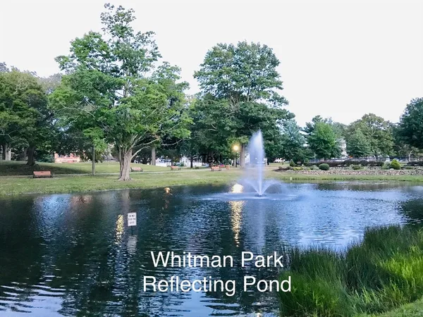 a view of water pond with green yard